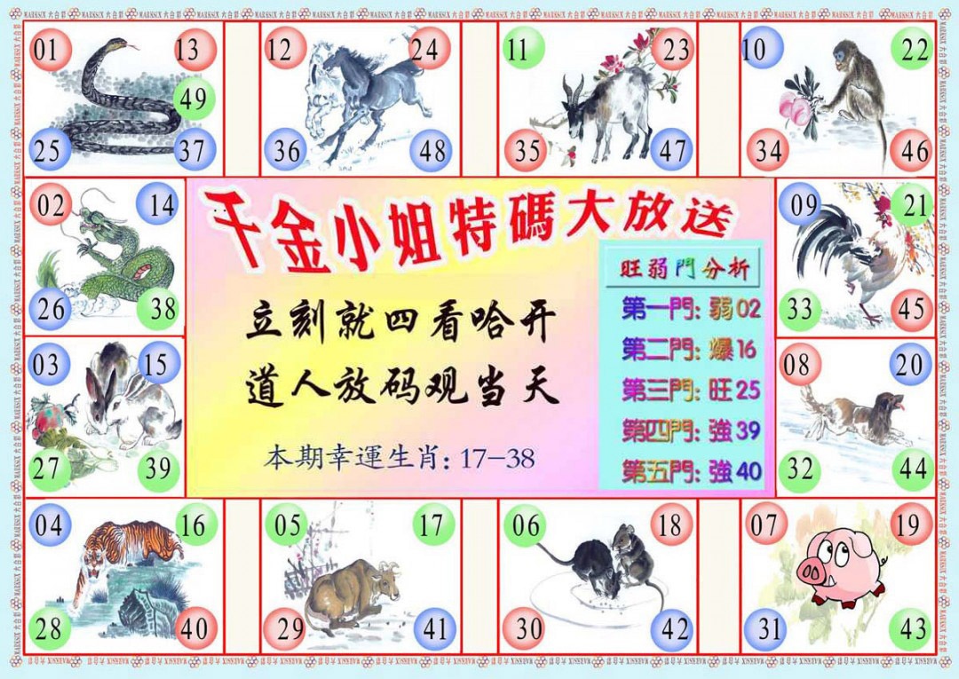 006期千金小姐B版[图]