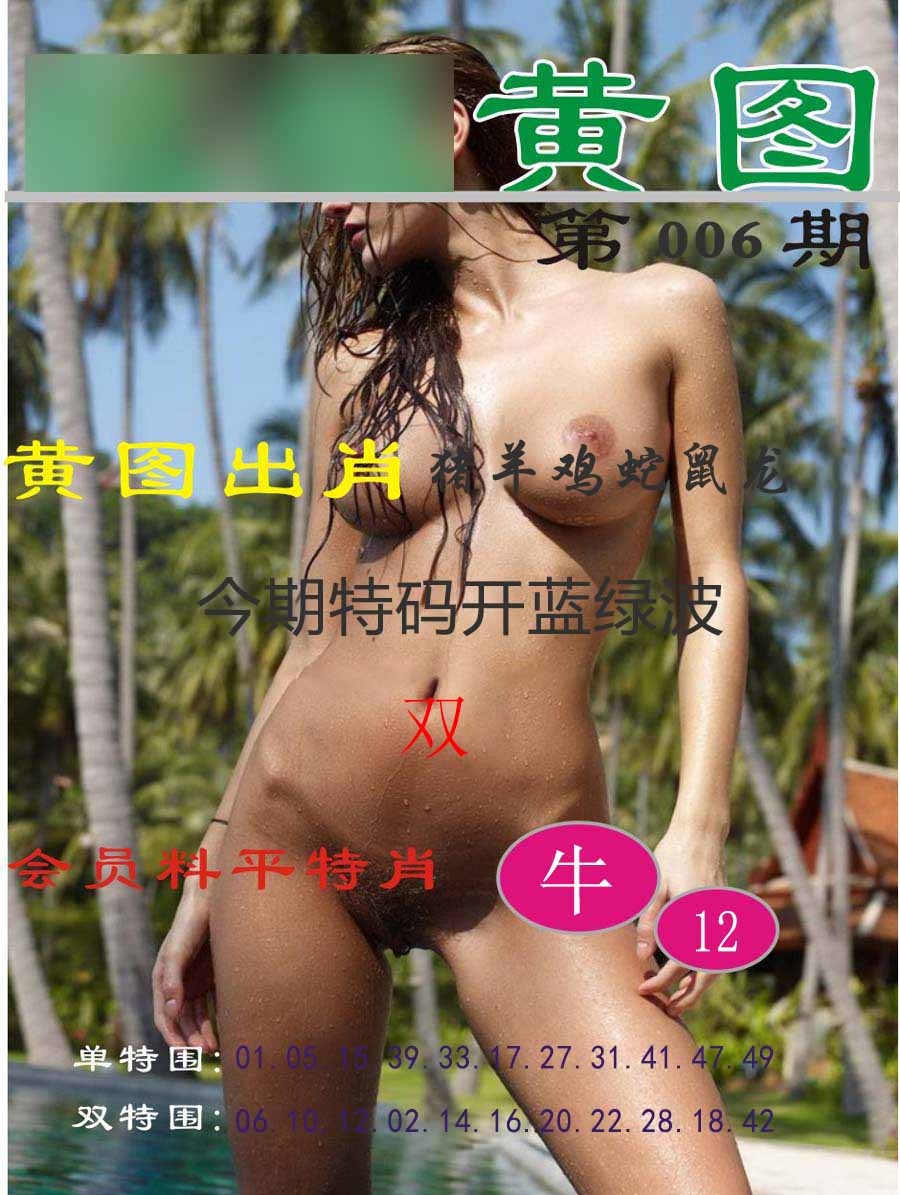 006期黄图[图]