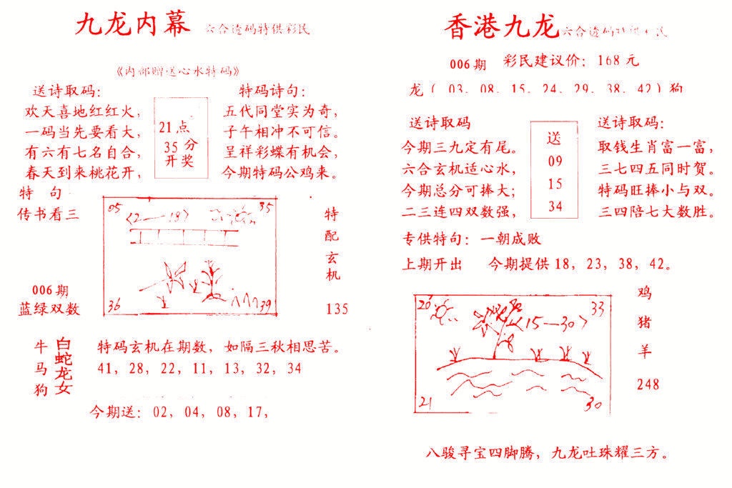 006期九龙内幕[图]