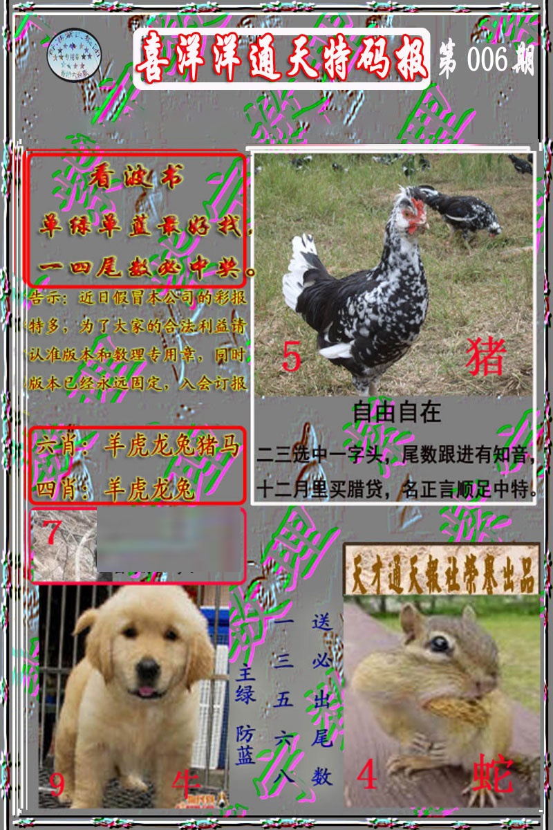 006期洋通报[图]