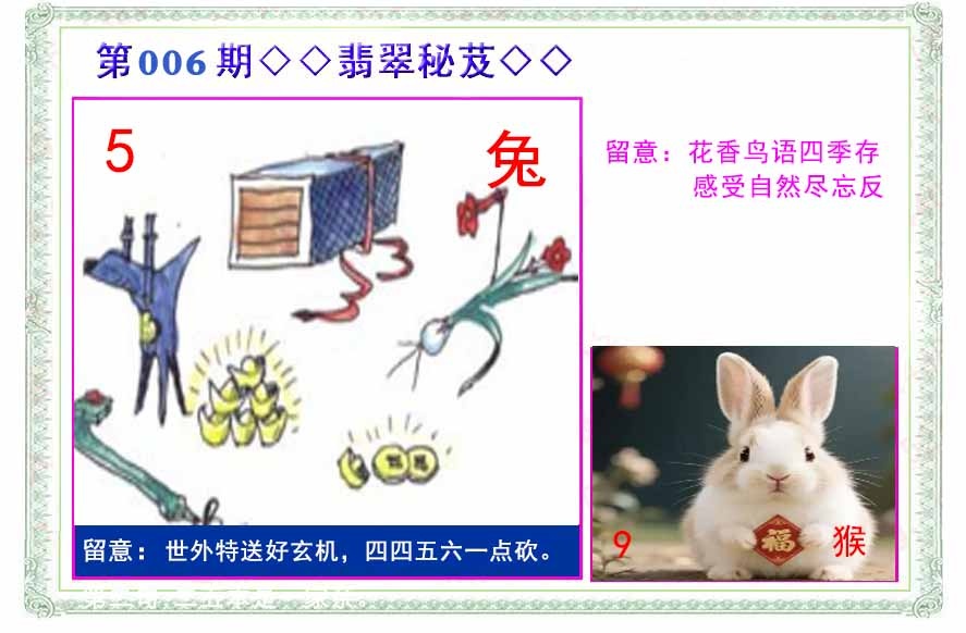 006期翡翠报[图]