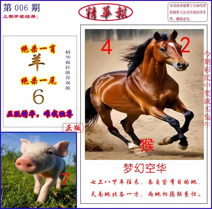 006期新精华报报[图]