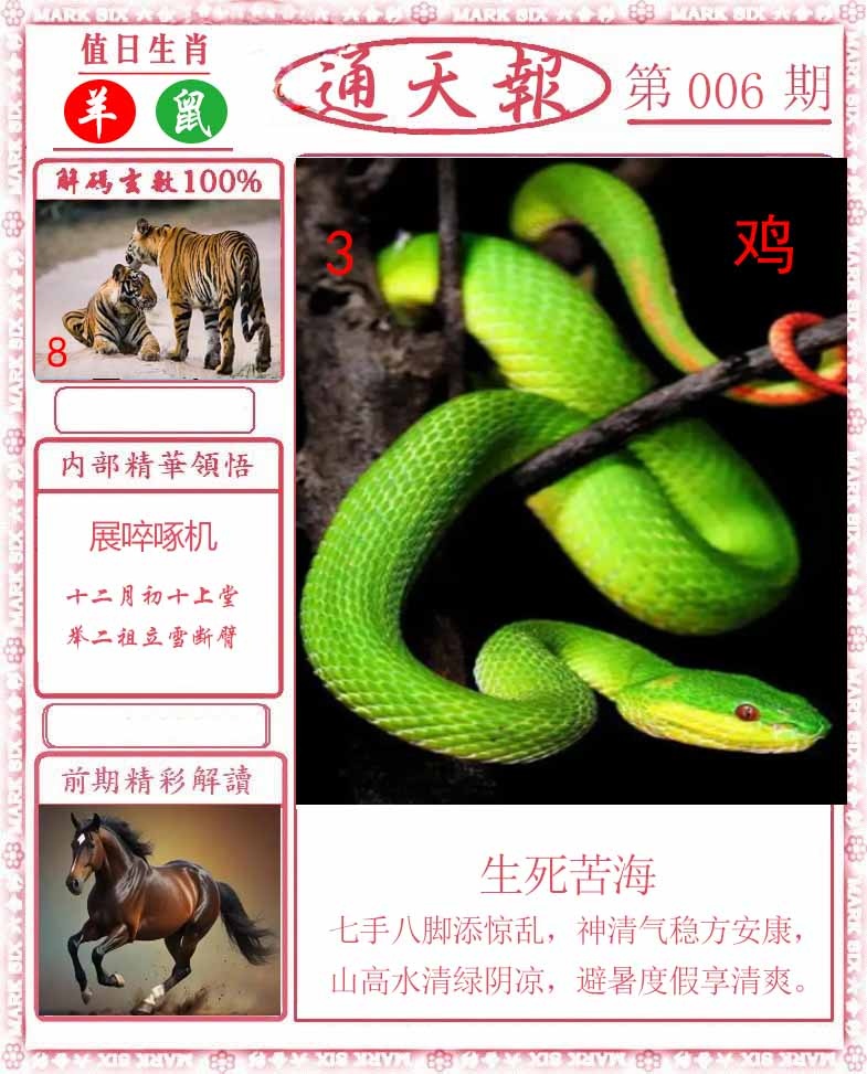 006期正版通天报[图]