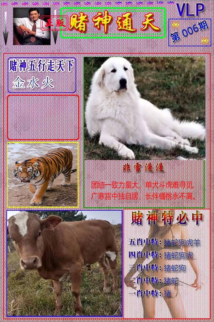 006期赌神通天报[图]