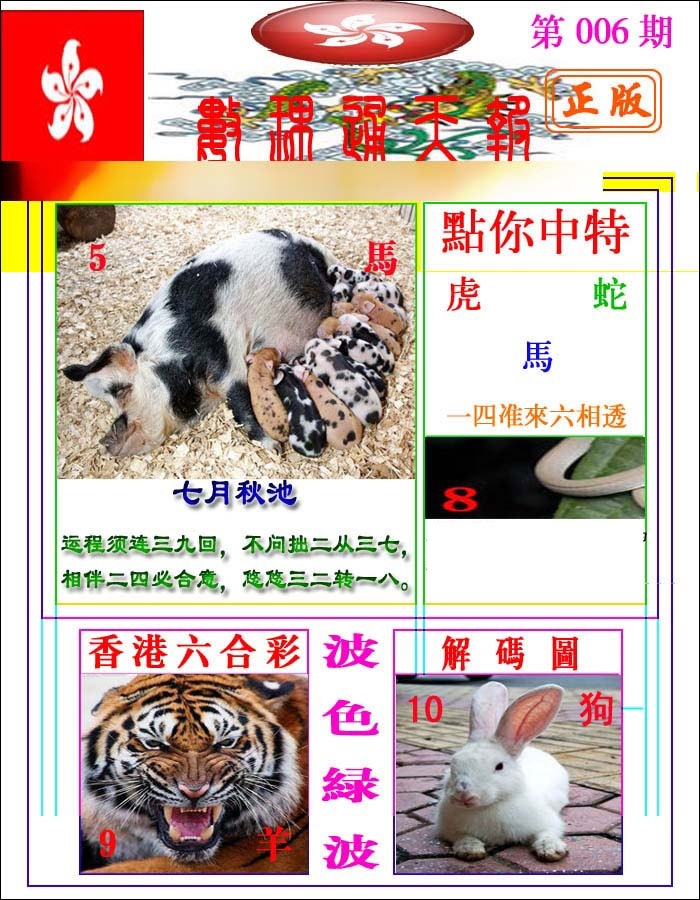 006期数理通天[图]