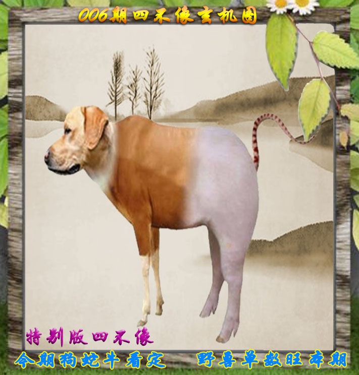 006期四不像特别版[图]