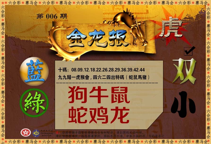 006期金龙报[图]
