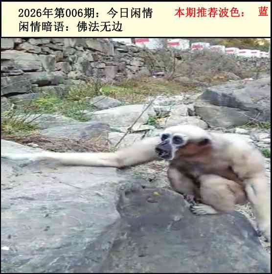 006期今日闲情2[图]